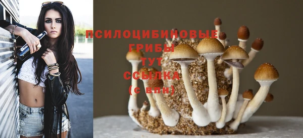 Альфа ПВП Алексеевка