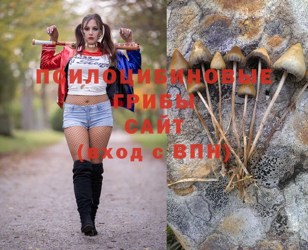 Альфа ПВП Алексеевка